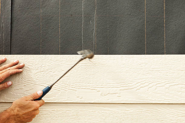 Best Siding Painting and Refinishing  in Mill Valley, CA
